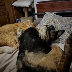 ����� � �� ������